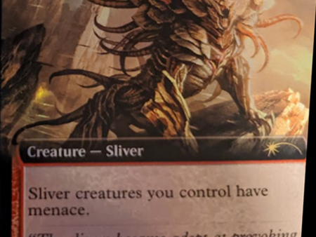 Belligerent Sliver (Extended Art) [Secret Lair Drop Series] For Cheap