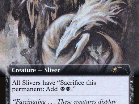 Basal Sliver (Extended Art) [Secret Lair Drop Promos] on Sale