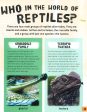 In Focus : Reptiles Online Sale